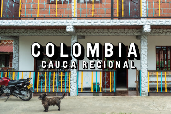 Colombia - Cauca Regional, Washed