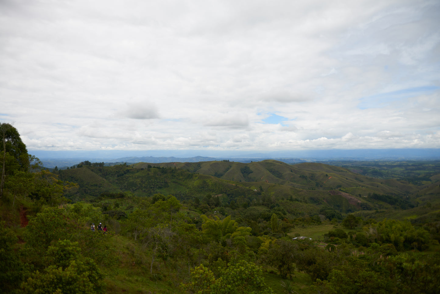 Colombia - Manos Juntas Natural