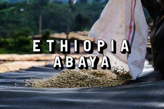 Ethiopia - Abaya, Washed