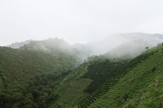 PIcture of the region of Huila Colombia. The climate is overcast with green hills. 