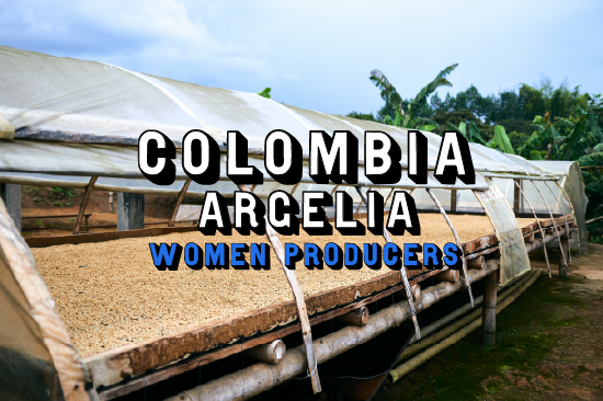 Colombia - Argelia Women Producers, Washed