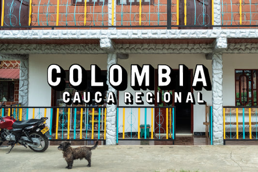Colombia - Cauca Regional (WS)