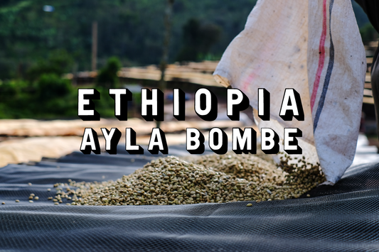 Ethiopia - Ayla Bombe Washed