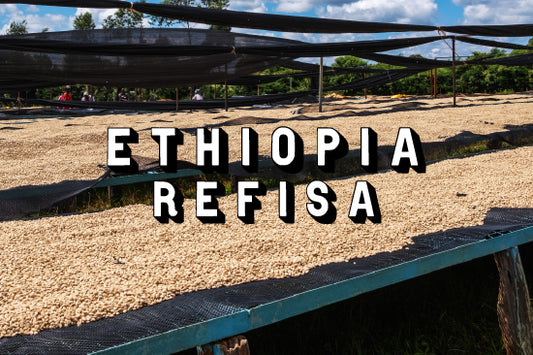 Ethiopia - Refisa, Washed