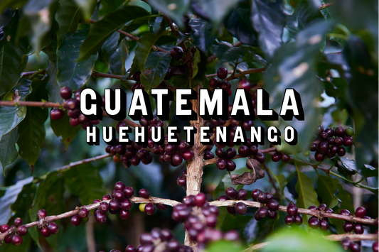 Guatemala - Huehuetenango Washed