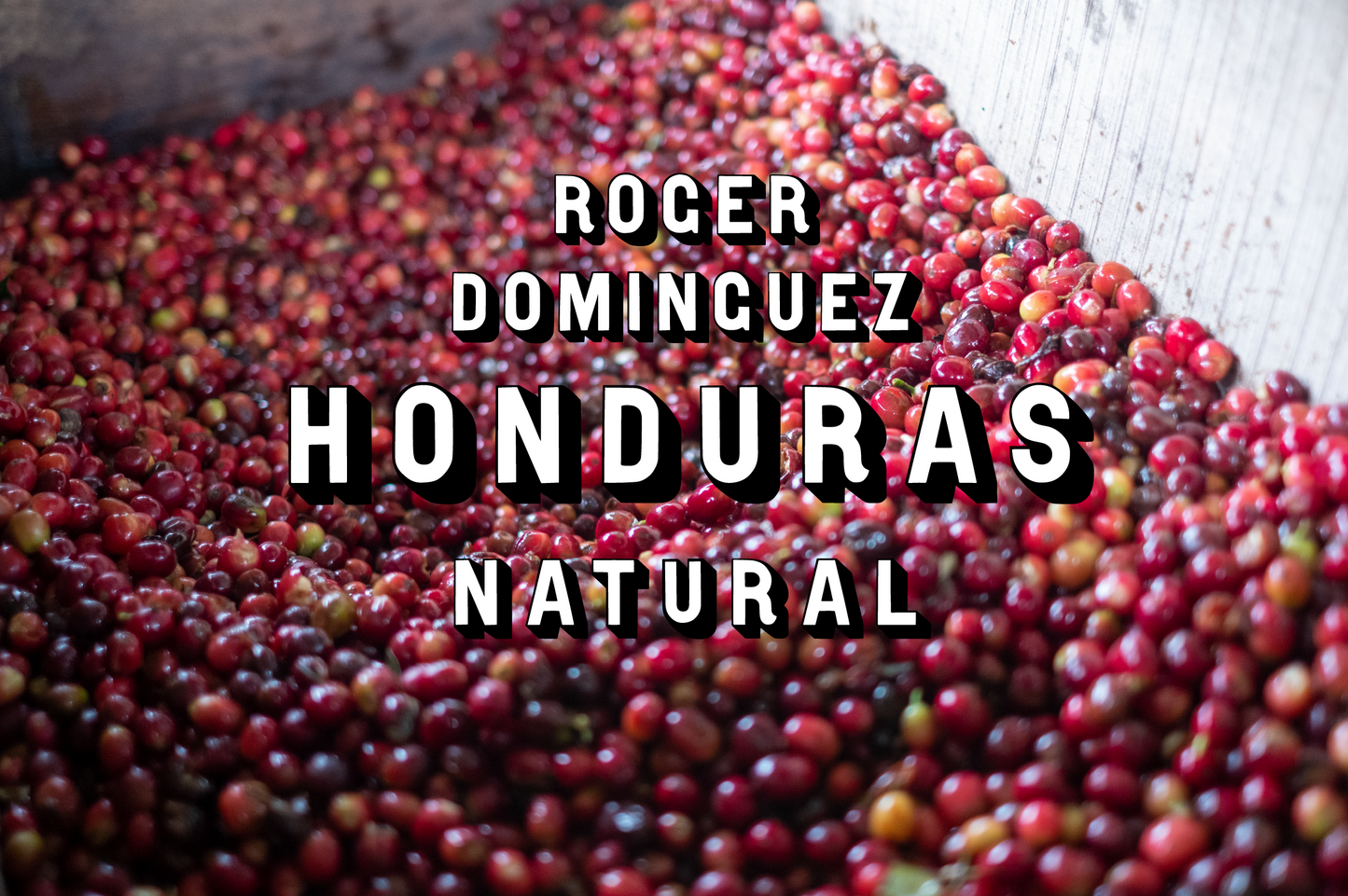 Honduras - Roger Dominguez Natural