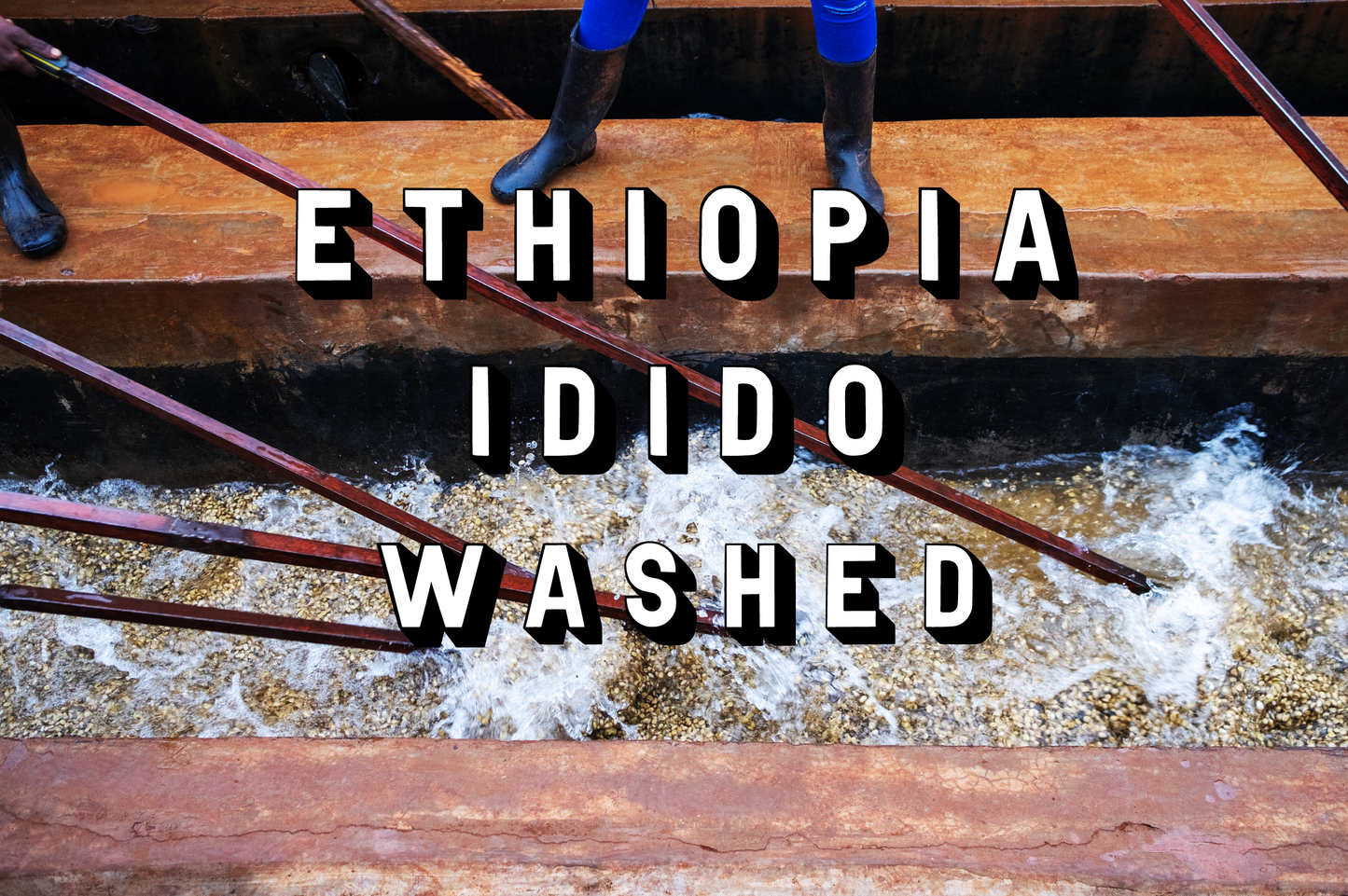 Ethiopia - Idido Washed