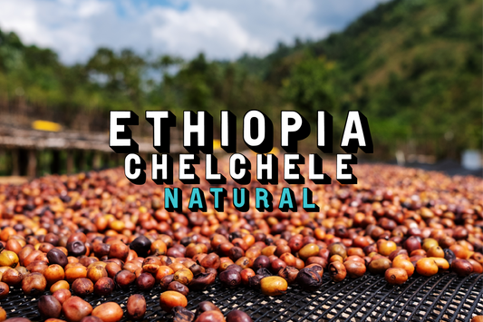 Ethiopia - Chelchele Natural