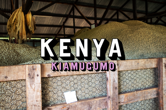 Kenya - Kiamugumo, Washed