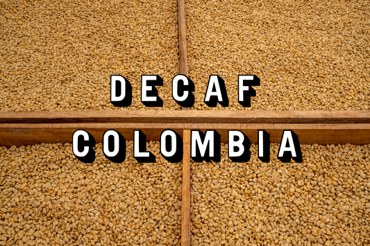 Coffee that is drying and still in parchment. The text explains that it is a Decaf coffee from Colombia