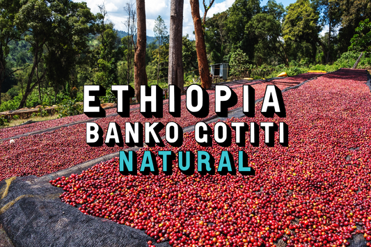 Ethiopia - Banko Gotiti - Natural