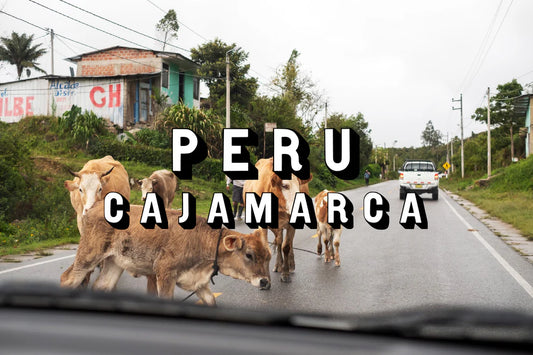 Peru - Cajamarca (WS)